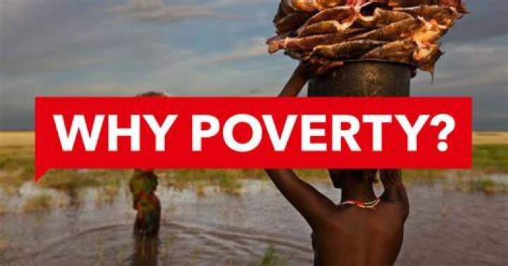 Why is Somalia "So Rich"? Unpacking the Paradox of Potential and Poverty