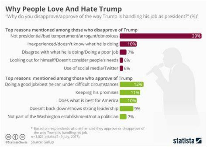 Why Many People Feel Strong Dislike for Donald Trump