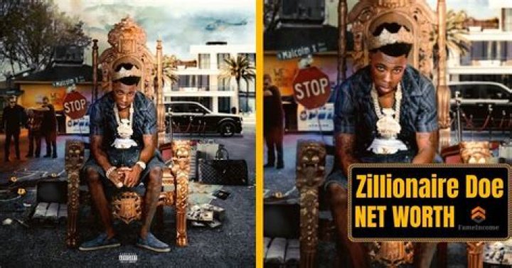 Zillionaire Doe Net Worth: Exploring a Financial Phenomenon