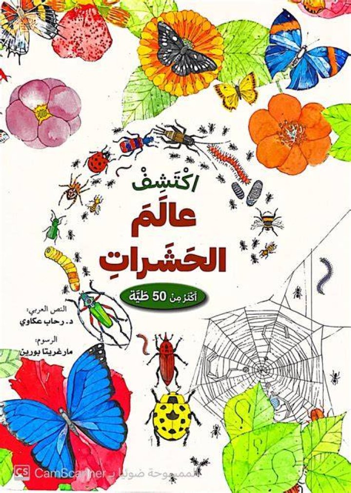 اكتشف عالم فلور كاتس: عروض لا تُنسى وتفاصيل حصرية