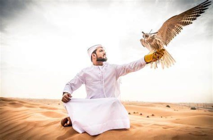 سكسي خليجي: اكتشاف الجاذبية والأناقة في الثقافة الخليجية
